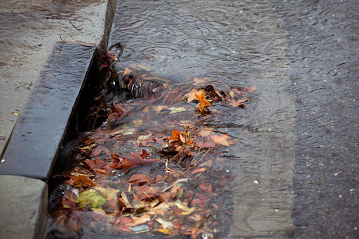 Storm drain partially blocked by fallen leaves on a rainy day.