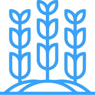 box-icon